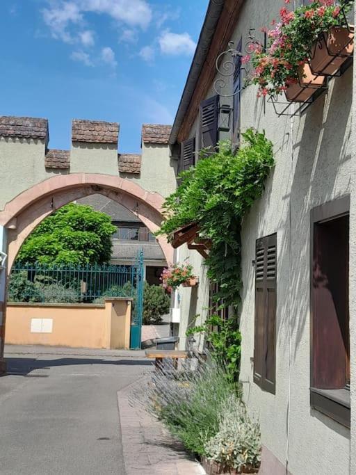 Gite Le3 Bergheim Extérieur photo